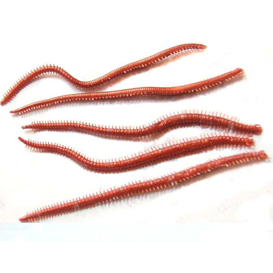 10 قطعة/الوحدة الديدان البحرية - مراجعة Fishing Lure Soft Plastic وسعره